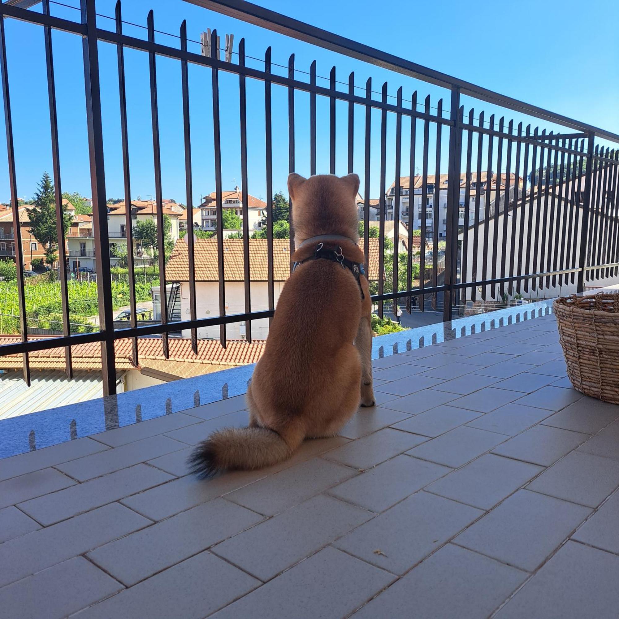 דירות אג'רולה Casa Marilyn מראה חיצוני תמונה